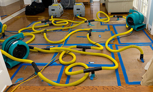 Professional Basement Flood Cleanup technician working in Bedford, TX